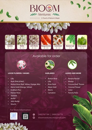 Bloom Ventures